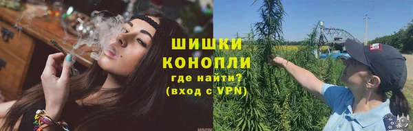 молекула духа Богородицк